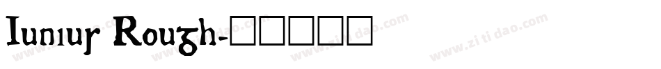 Junius Rough字体转换